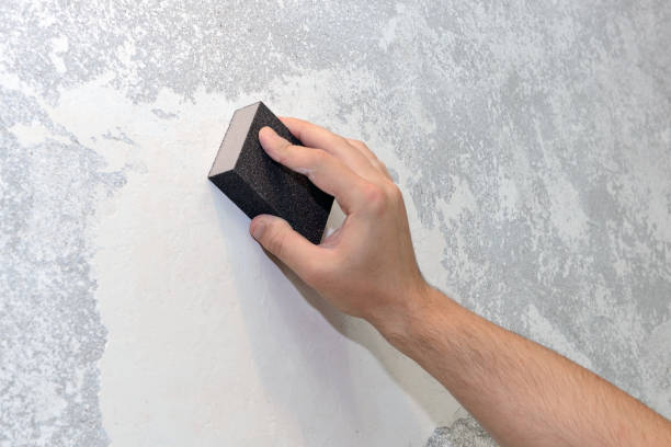 Best Environmental Consulting for Mold Prevention  in New Paris, IN
