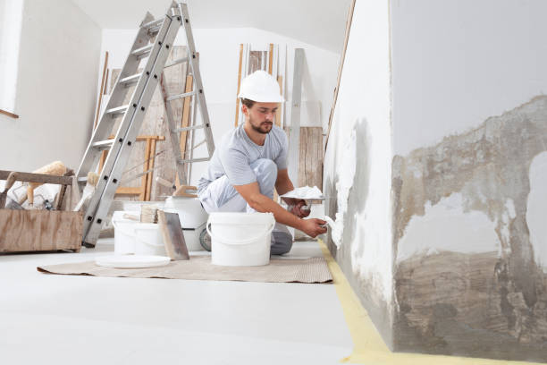 Best Mold Remediation for Healthcare Facilities  in New Paris, IN